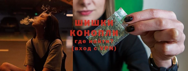 прущие грибы Пролетарск