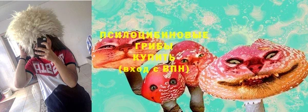 прущие грибы Пролетарск