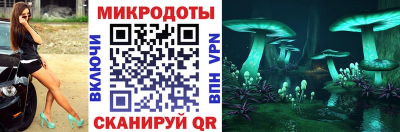 Купить Усмань Псилоцибиновые грибы GOLDEN TEACHER